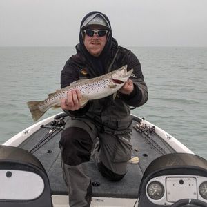 Meet your Posher, Travis